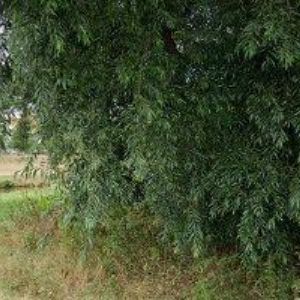 obrazek: avatar KLIMATIK spol. s r.o.