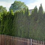 STAVÍM RÁD-GREGOR ZDENĚK