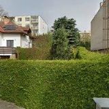 PÁTEK FRANTIŠEK Ing.