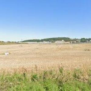 obrazek: avatar TEAM s.r.o.