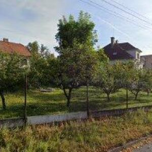 obrazek: avatar SMOLA IVAN