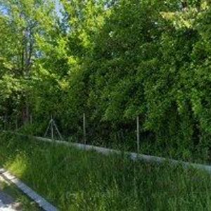 obrazek: avatar ZABILKA MILAN