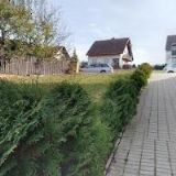 PETRA POKRÝVAČSTVÍ