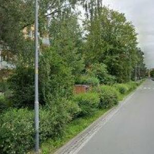 obrazek: avatar NAVRÁTIL FRANTIŠEK