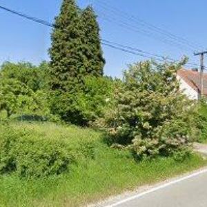 obrazek: avatar BUMBA MICHAL