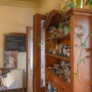 obrazek: avatar ŠTUK VOTRUBA