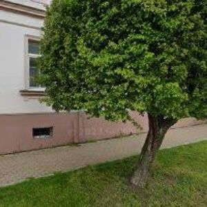 obrazek: avatar KRPATA RADOMIL