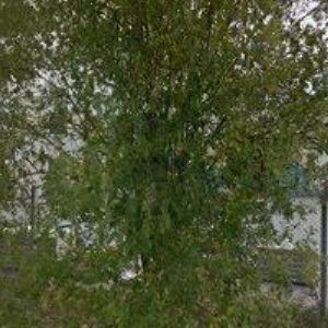 obrazek: avatar ULYXES BETON , s.r.o.