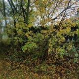 TERACO PODLAHY KOTĚRA