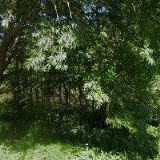 HUSPEK JAN-ZÁMEČNICTVÍ