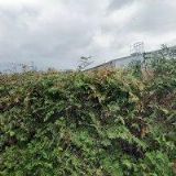 SIMPSON STRONG-TIE s.r.o.