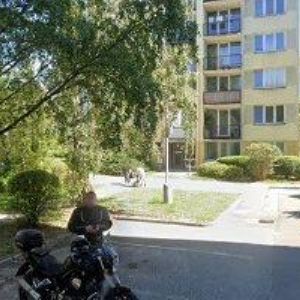 obrazek: avatar PRIMO LOCO BAMBINO-SDRUŽENÍ DĚTÍ A MLÁDEŽE