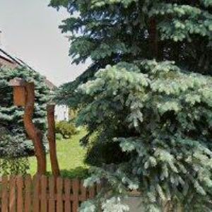 obrazek: avatar PÚRY JOZEF