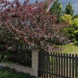 PICKA VLADIMÍR-SOUKROMÉ KUCHAŘSKÉ STUDIO