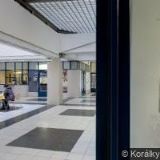 EVROPSKÁ AKADEMIE PRO DEMOKRACII, ZAPS.ÚSTAV