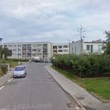 ŘEZANKOVÁ SVĚTLANA