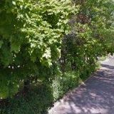 SOUKROMÁ VYŠŠÍ ODBORNÁ ŠKOLA FILMOVÁ s.r.o.