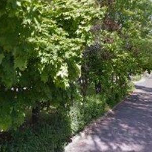 obrazek: avatar SOUKROMÁ VYŠŠÍ ODBORNÁ ŠKOLA FILMOVÁ s.r.o.