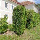 ZŠ A MŠ Svatý Jan nad Malší