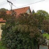 ZŠ PŘI DĚTSKÉ PSYCHIATRICKÉ NEMOCNICI Opařany