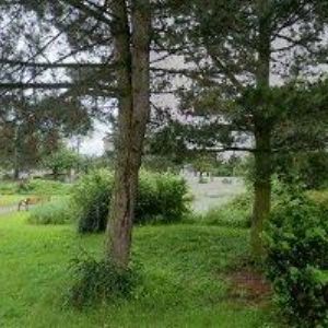 obrazek: avatar ZŠ A MŠ Myslibořice