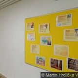 ZŠ Velké Meziříčí