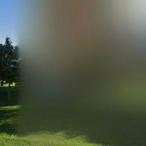 obrazek: avatar ČESKÝ RYBÁŘSKÝ SVAZ, MÍSTNÍ ORGANIZACE Třeboň