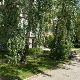 SDRUŽENÍ DĚTÍ, MLÁDEŽE A RODIČŮ HAFFO ,