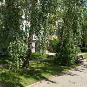 obrazek: avatar SDRUŽENÍ DĚTÍ, MLÁDEŽE A RODIČŮ HAFFO ,