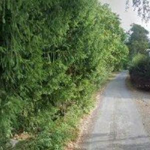 obrazek: avatar SEMENEC , o.p.s.