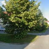 SPRÁVA CHRÁNĚNÉ KRAJINNÉ OBLASTI BLANSKÝ LES