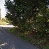 MYSLIVECKÉ SDRUŽENÍ VILÉM Ktiš