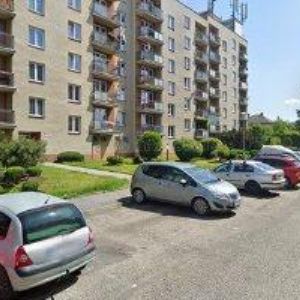 obrazek: avatar BULLET CORRAL WESTERNERS INTERNATIONAL-CZ