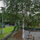 ČESKÝ RYBÁŘSKÝ SVAZ, MÍSTNÍ ORGANIZACE Vyšší Brod