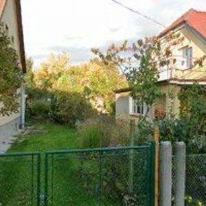 obrazek: avatar ČESKÝ KYNOLOGICKÝ SVAZ, ZÁKLADNÍ KYNOLOGICKÁ ORGANIZACE TRHOVÉ SVINY