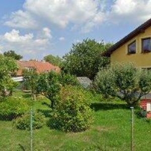 obrazek: avatar HADASA