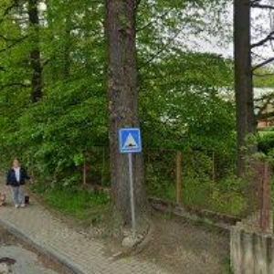 obrazek: avatar KULTURNÍ SPOLEČNOST ALTA o.s.