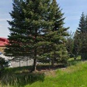 obrazek: avatar PRAKTIC MODEL KLUB