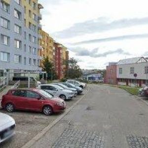 obrazek: avatar ČESKÝ ZAHRÁDKÁŘSKÝ SVAZ, ÚZEMNÍ SDRUŽENÍ OKRESU Český Krumlov