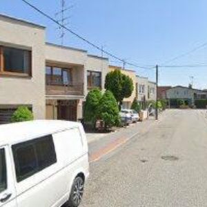 obrazek: avatar ČESKÝ SVAZ VČELAŘŮ, ZÁKLADNÍ ORGANIZACE Borek