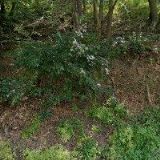 ZERA-ZEMĚDĚLSKÁ A EKOLOGICKÁ REGIONÁLNÍ AGENTURA , o.s.