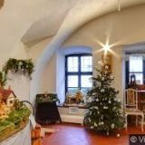 MUZEJNÍ SPOLEK V TŘEŠŤI