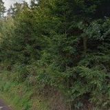 ČESKÝ SVAZ CHOVATELŮ, OKRESNÍ ORGANIZACE Jihlava