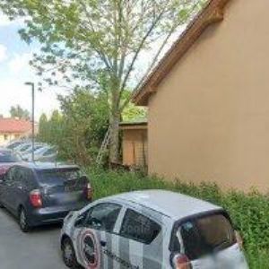 obrazek: avatar KYNOLOGICKÝ KLUB Bystřice nad Pernštejnem