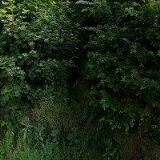 MORAVSKÝ RYBÁŘSKÝ SVAZ MO Náměšť nad Oslavou , o.s.