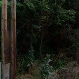 MORAVSKÝ RYBÁŘSKÝ SVAZ MO Jemnice