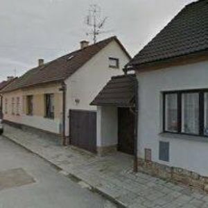 obrazek: avatar ČESKÝ SVAZ CHOVATELŮ ZÁKLADNÍ ORGANIZACE Třešť