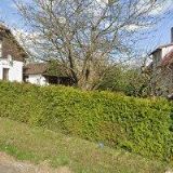 PIONÝRSKÁ SKUPINA ÚDOLÍ SLUNCE Hamry nad Sázavou