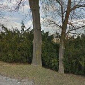 obrazek: avatar KLÁŠTER BOŽÍHO MILOSRDENSTVÍ