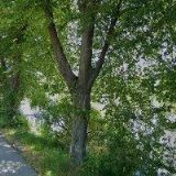 NÁBOŽENSKÁ OBEC CÍRKVE ČESKOSLOVENSKÉ HUSITSKÉ V KŘEMŽI